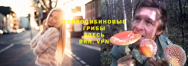 марихуана Абаза