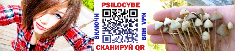 Галлюциногенные грибы прущие грибы сколько стоит hydra ТОР Тихорецк